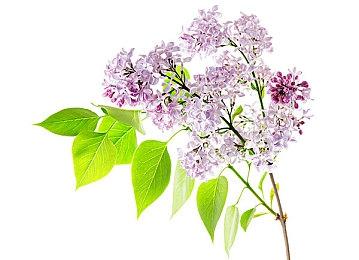 《半条命》社区举行特别活动 在线玩家峰值创纪录